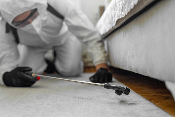 Professional Bed Bug Control technician working in Milton-Freewater, OR
