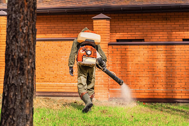 Trusted Termite Control service in Milton-Freewater, OR - Nex Pest Control